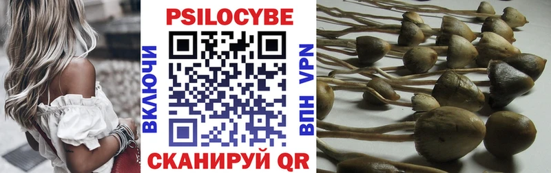Псилоцибиновые грибы Psilocybe Маркс